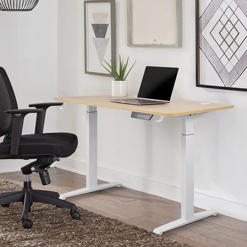 The Elevate Pro Workstation